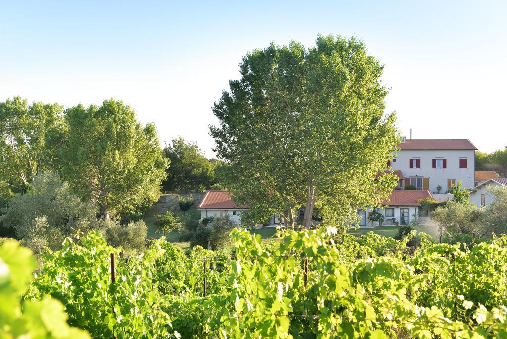 Agriturismo Arte Et Agricoltura Tuscania Exterior foto