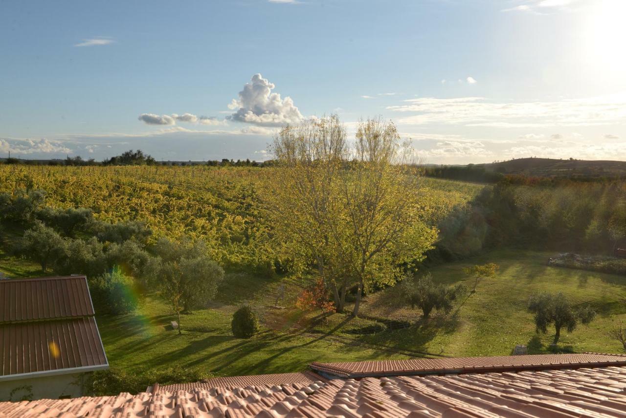Agriturismo Arte Et Agricoltura Tuscania Exterior foto